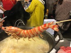 -鲜入围煮花胶鸡海鲜火锅