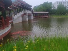 -西海子公园