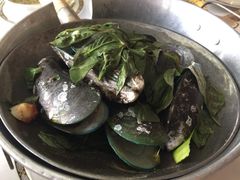 青口贝-Methavalai Sorndaeng