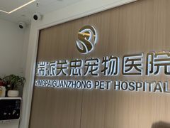 -瑞派·关忠动物医院·猫专科·犬专科(三环新城店)