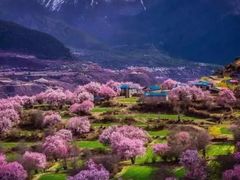 -魔指印象(西藏旗舰店)