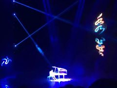 -水秀国际大剧院