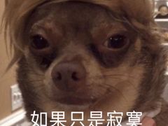 -罗森尼娜(德思勤店)