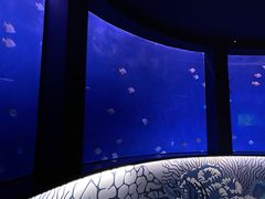 -沈阳海洋探索中心