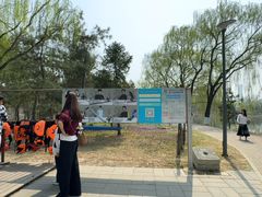 -WhaleSports户外水上运动俱乐部(朝阳公园店)