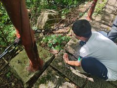 -五女峰国家森林公园