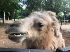 -长白岛森林公园