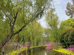 -南汇桃花村