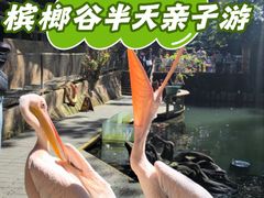 -海南槟榔谷黎苗文化旅游区