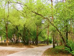 -黑龙江省森林植物园