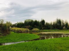 -良渚古城遗址公园