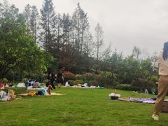 -铁山坪森林公园