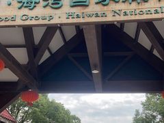 -上海海湾国家森林公园