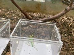 -上海昆虫博物馆