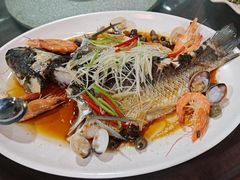 -东鸽皇(奥园·中环广场店)