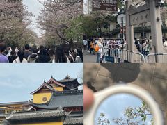 -鸡鸣寺