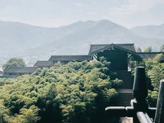-大唐贡茶院