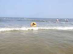 -日照海滨国家森林公园