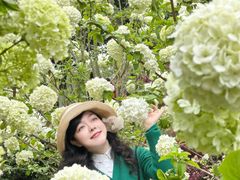 -铁山坪森林公园