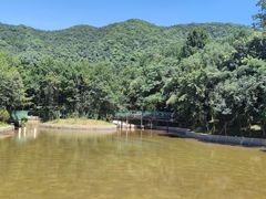 -杭州半山国家森林公园