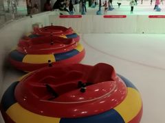 -TheRink大零溜冰场(IFS国金中心店)