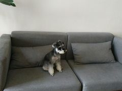 -仰生如卉推拿养生馆(酒仙桥店)