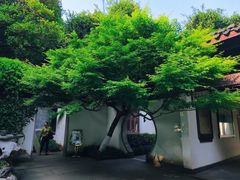 -宋宴(虎跑店)