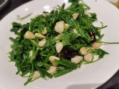 -新乾隆酒楼(帝景园店)