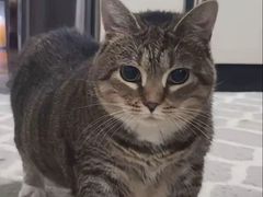 -澎湖湾农家菜(八一路楚天府店)