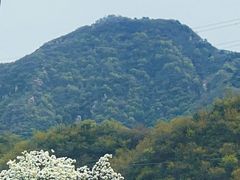 -大岭沟猕猴桃谷风景区