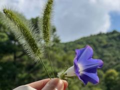 -惠山国家森林公园