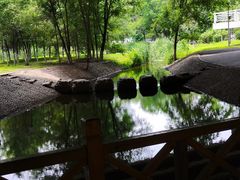 -长白岛森林公园