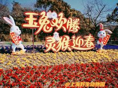 -上海野生动物园