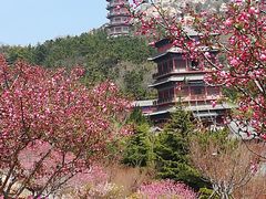 -石岛赤山风景区