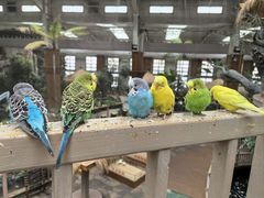 -南宫五洲植物乐园