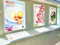 -汤臣倍健透明工厂景区