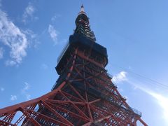 -东京塔海贼王主题公园