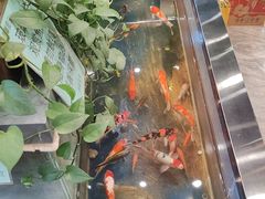 -洞庭家宴·头牌甲鱼(广渠门店)