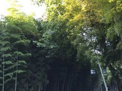 -苏州环秀晓筑养生度假村