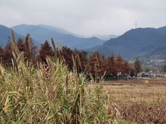 -四明湖