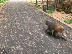 -苏州环秀晓筑养生度假村