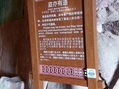 -蛇蟠岛