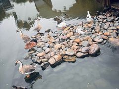 -荷塘味道(水长城店)