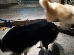 -豆舞咖啡(民乐路店)