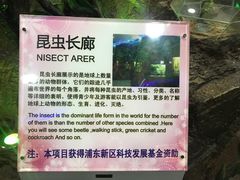 -上海大自然野生昆虫馆(东方明珠·爬宠昆虫探索中心)