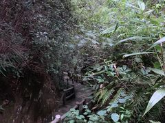 -广东大峡谷