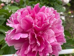 -长春公园(普阳街道)