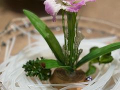 -北京西藏大厦·香帕拉宫廷菜