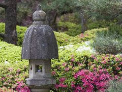 -东湖落雁景区