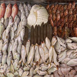 推荐这家是我自己经常去打卡的海虾，皮皮虾